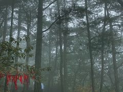 -罗田薄刀峰风景区