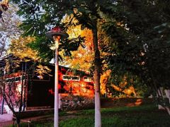 -长白岛森林公园