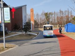 -上海长兴岛郊野公园