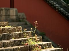 -开福禅寺