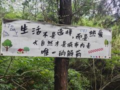 -青龙山生态文化旅游区(慈云寺)