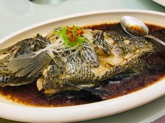 清蒸石斑鱼-胶东人家(奥体中心店)