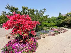 -苏州上方山国家森林公园