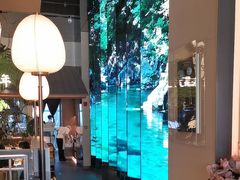 -桂满陇·海市蜃楼·黑金(国金店)