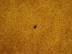 -重庆长寿碧桂园凤悦凤凰酒店