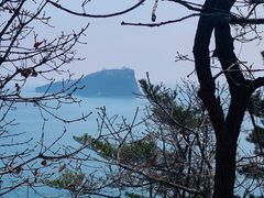 -棒棰岛宾馆景区