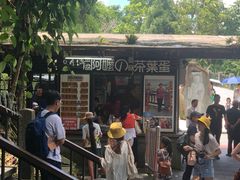 -日月潭
