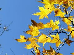 -鹫峰国家森林公园