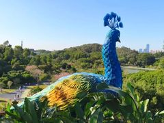 -东莞植物园