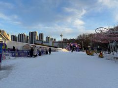 -沈阳奥体冰雪嘉年华