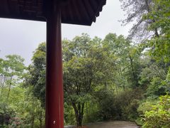 -方岩风景区