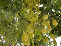 -南京市无想山景区