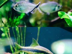 -上海海洋水族馆