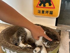 -LOOKA COFFEE(大鹏所城店)