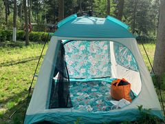 -合肥滨湖国家森林公园