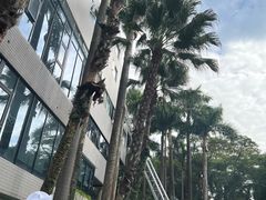 -深圳海景嘉途酒店(东翼楼)