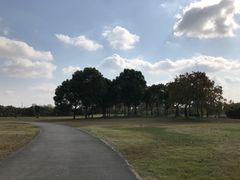 -同济大学(嘉定校区)