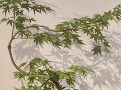 -十二舍·湯物素煮(江泰潤政店)
