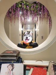 -盘子女人坊古装写真摄影(天津总店)