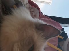 -怪兽屋·羊驼·猫咖·狗咖(俊华广场店)