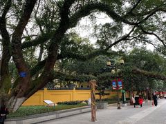 -桂林独秀峰王城景区