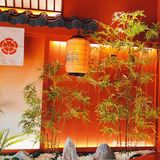 浪杯万|沉浸式日本和风餐厅，品味M9+澳洲和牛！👏