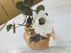 -慈宁宫鲜炖燕窝(文一物美店)