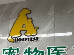-半岛宠物医院24小时(白果林店)