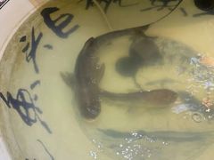 -南京金牛湖巨碗鱼头