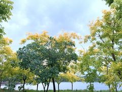 -东郊湿地公园