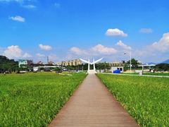 -风云岭森林公园
