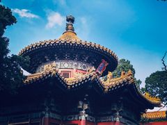 -故宫博物院(故宫)