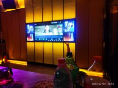 -星聚会KTV(苏州尹山湖歌林公园店)