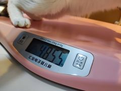 -御宝贝·A梦猫科宠物医院(国际猫友好医院)