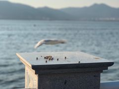 -海埂大坝