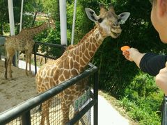 -泉州海丝野生动物世界