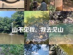 -大奇山国家森林公园