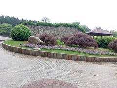 -嘉定紫藤园