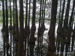-东湖落雁景区