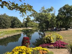 -上海共青森林公园