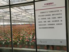 -西部兰花园生态园