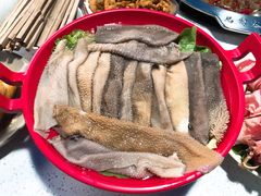 -马帮寨院坝火锅(龙港公园店)