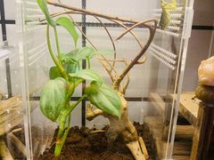 -Rabbit Cafe私房西餐甜点咖啡(栖霞路店)