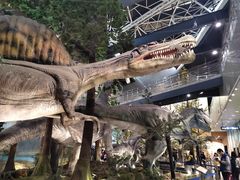 -湖南省地质博物馆