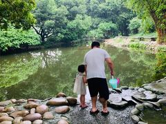 -成都市活水公园