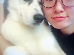 -派多格宠物(鼓楼店)