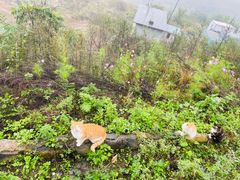 -潭柘厚院&山顶烤肉(潭柘寺店)