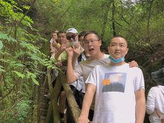-牛背梁国家森林公园