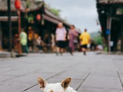 -崇州市街子古镇