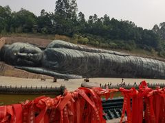 -三水森林公园